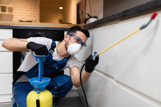 Professional Pest Control in Oreana, IL