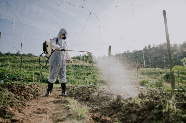 Best Local Pest Control Services  in Oreana, IL