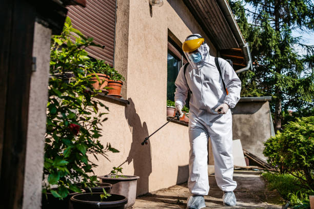 Best Mosquito Control Services  in Oreana, IL