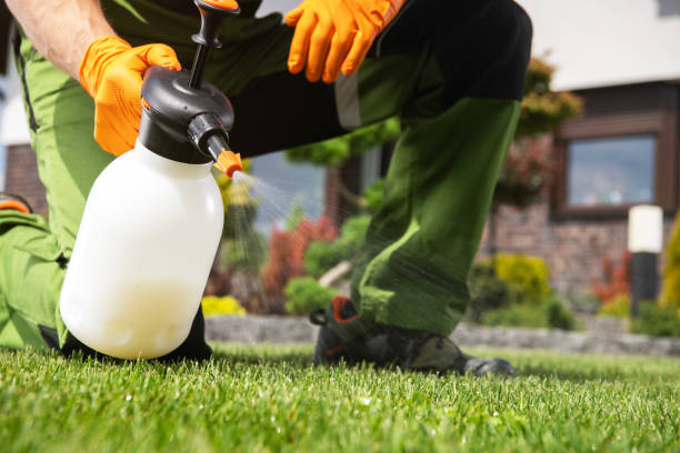 Best Exterminator Services  in Oreana, IL