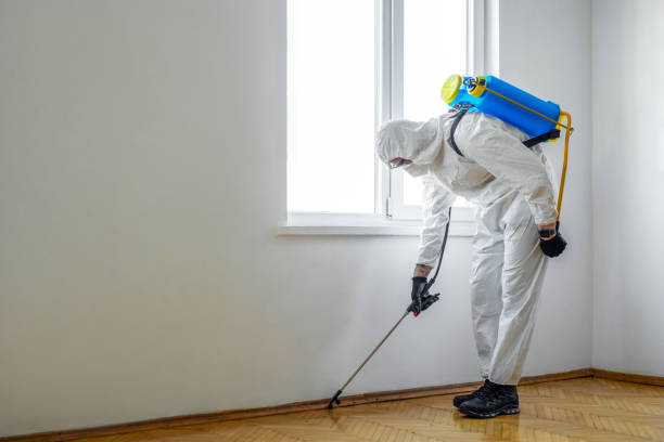 Best Commercial Pest Control Services  in Oreana, IL