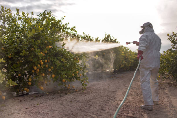Best Residential Pest Control  in Oreana, IL