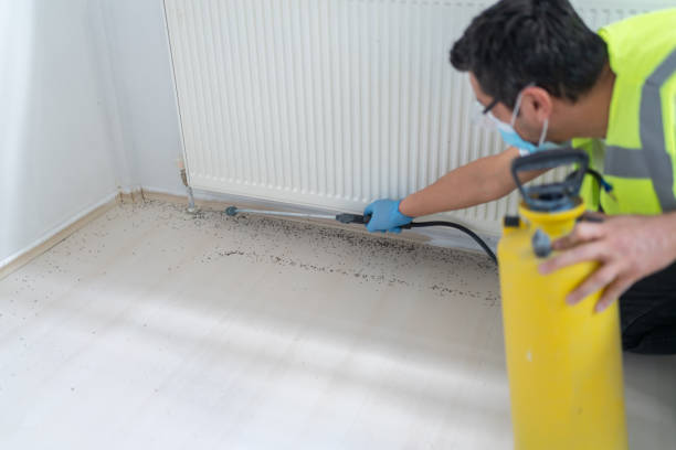 Best Affordable Pest Control Services  in Oreana, IL
